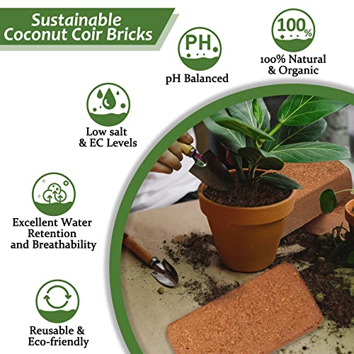 Riare 4pcs Organic Coco Coir Bricks, Natural Coconut Coir for Plants | High Expansion & Moisture Retention Coconut Husk Fiber for Seed Starting, Potting Mix, Composting, Soil Amendment & Reptiles - color: Pack of 4