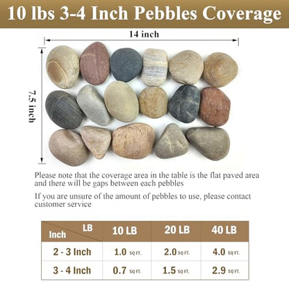FANTIAN 40 lbs Garden Rocks Mexican Beach Pebbles, 3-4 Inch Decorative Large River Rocks for Landscaping Aquarium Yard Garden Paving Large Plant Crafting and Walkways | Natural Beach Pebbles, Decorative Stones for Landscaping, Aquarium, Yard, Garde, Plant