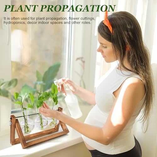 Plant Propagation Station, Plant Terrarium with Wooden Stand | Unique Gardening Birthday Gifts for Women Plants Lovers, Home Office Garden Decor Planter - 3 Bulb Glass Vases - size: 3 Bulb Vase