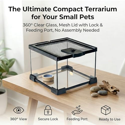 Small Glass Reptile Enclosure: 8x8x6 Full View Tarantula Enclosure | Lockable Sliding Screen Top Glass Terrarium - Insects Breeding Box Small Amphibians Cage for Leopard Gecko Hermit Crab - color: Glass, size: 8x8x6
