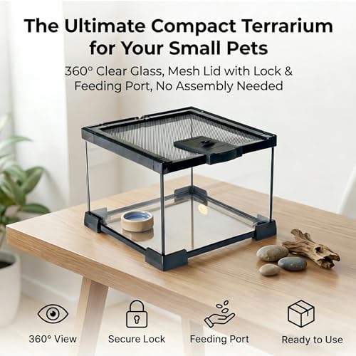 Small Glass Reptile Enclosure: 8x8x6 Full View Tarantula Enclosure | Lockable Sliding Screen Top Glass Terrarium - Insects Breeding Box Small Amphibians Cage for Leopard Gecko Hermit Crab - color: Glass, size: 8x8x6