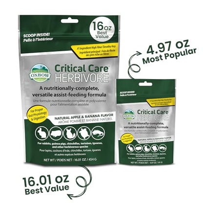 Oxbow Critical Care Herbivore Small Pet Formula, Apple Banana, 141g, 3 Pack | Recovery feeding support, high-fiber timothy hay, for rabbits & guinea pigs, vet recommended emergency nutrition