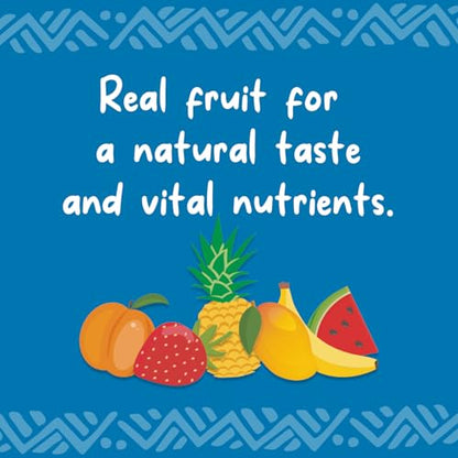Blue River Diets Complete Crested Gecko Food 1lb (450g) Fruit & Bug | All Natural Gecko Food Made in the UK