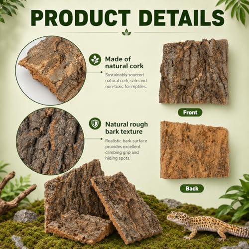 SHINEOFI 4 Pack Natural Cork Bark Reptile Hides for Terrariums | Random-shaped bark pieces for hides, basking platforms and enclosure landscaping for geckos, lizards, snakes and tortoises