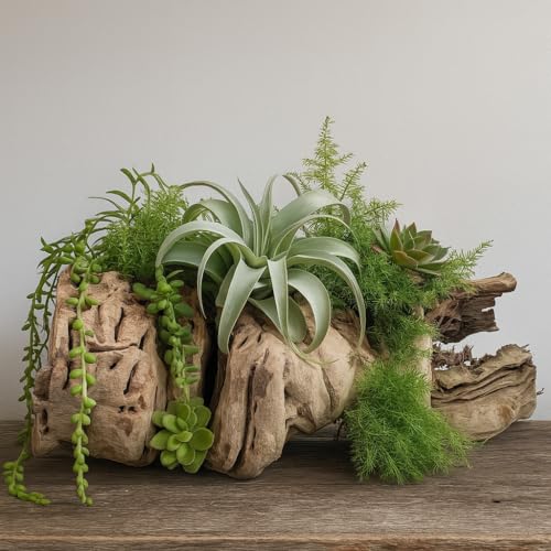 Koyal Wholesale 18" Hollow Grapevine Wood Branches for Decor, Untreated Natural Dried Grapewood Branches, Large Rustic Wood for Centerpieces, Terrariums, Reptile Habitats, Crafts - size: 18 Inches