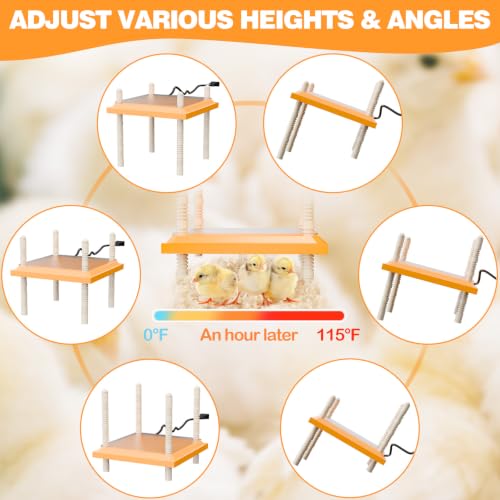 Wooden Chicken Brooder Box with Heating Plate Brooder Heater for Chick Brooder Indoor 32x16x18'' Accommodates Up to 15 Chicks Ideal for Chickens Ducks Quails Hamsters Lizards - size: 31.5 x15.7 x18''