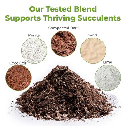 Perfect Plants Succulent & Cactus Soil, 8 qt, Organic Potting Mix | Fast draining blend of peat moss, composted pine bark, perlite and lime for the dry roots cacti love, resealable bag - size: 8 quarts