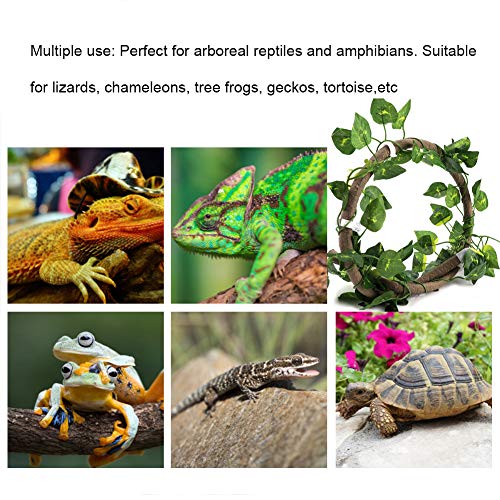 Tropical Terrarium Plants Fake Jungle Vines Set with Pothos Leaves, Naturalistic Climbing Vines for Reptile Habitat Decor, Bioactive Vivarium (Vinegar + Green Ivy Leaves)