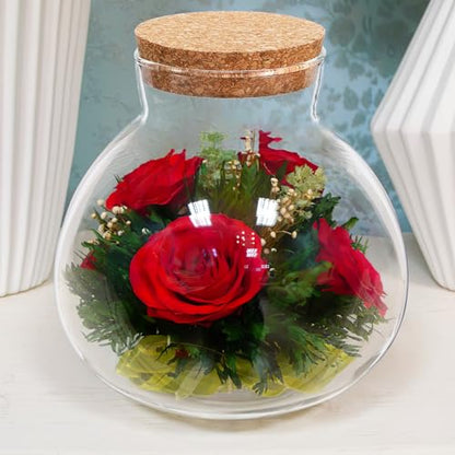 NUOBESTY Glass Terrarium Jar with Cork Lid (No Plants) | 6x6.3 Inch Closed Terrarium for Succulent Moss and Fern, DIY Miniature Desktop Garden for Home & Office Decor
