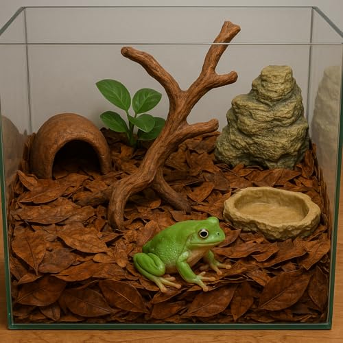 Frog Tank Accessories – 100 Pcs 3" Indian Almond Catappa Leaves, Natural Leaf Litter for Tree Frogs, Bioactive Terrarium Accessories, Amphibian Habitat Decor