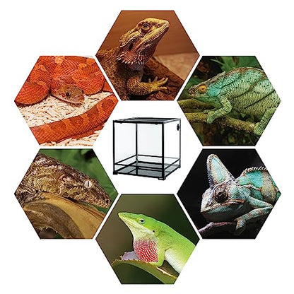 REPTIZOO 60 Gallon Glass Reptile Tank, 24" x 24" x 24" Large Reptile Terrarium Front Opening Terrarium with Double Hinge Door and Top Screen Ventilation, Easy Assembly Enclosure Tank - size: 24" x 24" x 24"