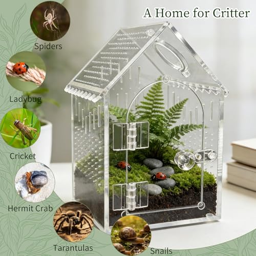 Acrylic Jumping Spider Enclosure, Multi-Purpose Small Insect Terrarium for Mantis, Tarantula, Gecko, Snail, Hermit Crab – Ideal as Critter Keeper, Breeding Box or Arboreal Pet Cage