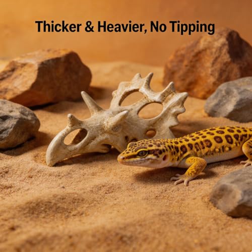 Triceratops Skull Reptile Hide for Bearded Dragons, Dinosaur Skull Terrarium Decor, Resin Cave Hideout for Lizards Snakes, Aquarium Tank Decoration (Medium) - size: Medium
