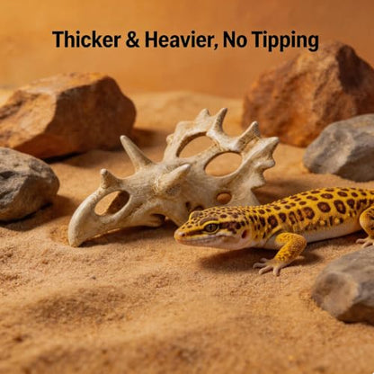 Triceratops Skull Reptile Hide for Bearded Dragons, Dinosaur Skull Terrarium Decor, Resin Cave Hideout for Lizards Snakes, Aquarium Tank Decoration (Medium) - size: Medium