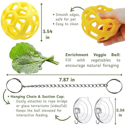 Bearded Dragon Climbing Bridge with Veggie Feeder Ball – Bendable Vine Enrichment Route for Large Tanks, Greens Intro Kit, Reptile/Lizard Tank Accessories (Salad Feeder Ball) - color: Salad Feeder Ball