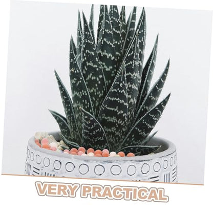 BESPORTBLE Decorative Plant Pebbles Hydroponic Clay Pebbles for Succulent Potting Aesthetic Drainage for Indoor Gardening