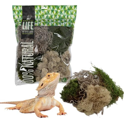 Variety Mix Moss for Terrarium Habitats, Medium 1-Pack | Preserved Moss for Reptiles, Amphibians & Invertebrates Terrariums, Humidity Control, Soft, Dye-Free, Family Owned, USA Made - size: Medium 1-pack, style: Variety Mix