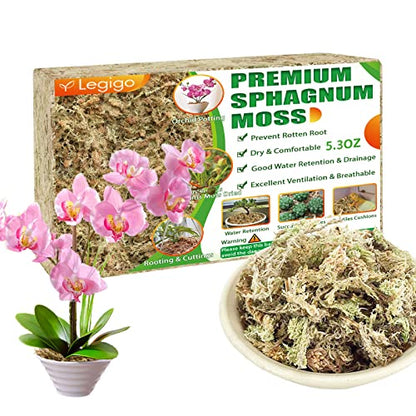 5.3OZ Sphagnum Moss for Plants - 6QT Natural Long Fibers Orchid Moss | Moisture Retention & Drainage Balance, Plant Moss for Orchids, Succulents, Carnivorous, Ferns, Reptile Bedding & Terrariums - size: 6 QT(5.3 oz)