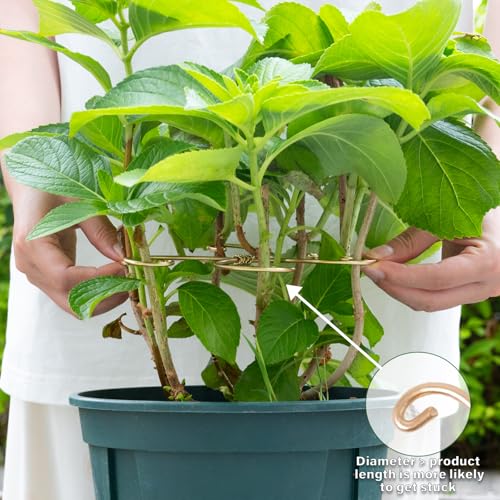 7.5In Monstera Plant Stem Support Hook Set-5PCS Metal stem Holder | Premium Stem Support for Monstera & Fishbone,Essential Growth Stabilizers for Leaf Support,Ideal Gift for Plant Lovers - size: 7.5 x 7.5 inches
