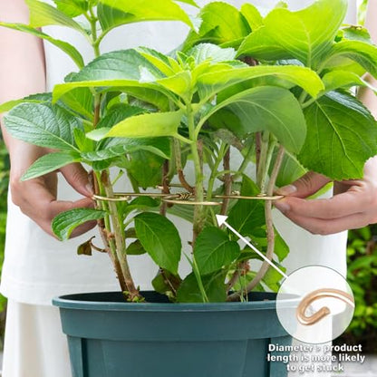 7.5In Monstera Plant Stem Support Hook Set-5PCS Metal stem Holder | Premium Stem Support for Monstera & Fishbone,Essential Growth Stabilizers for Leaf Support,Ideal Gift for Plant Lovers - size: 7.5 x 7.5 inches