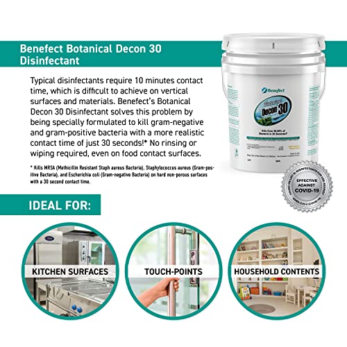 Benefect Botanical Decon 30 Disinfectant Cleaner, Light Lemon & Thyme Scent, 5 Gallon Pail - size: 640 Fl Oz (Pack of 1)