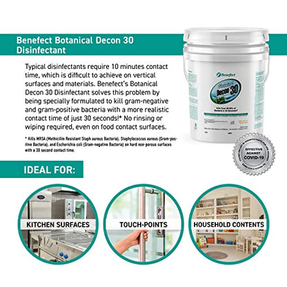 Benefect Botanical Decon 30 Disinfectant Cleaner, Light Lemon & Thyme Scent, 5 Gallon Pail - size: 640 Fl Oz (Pack of 1)