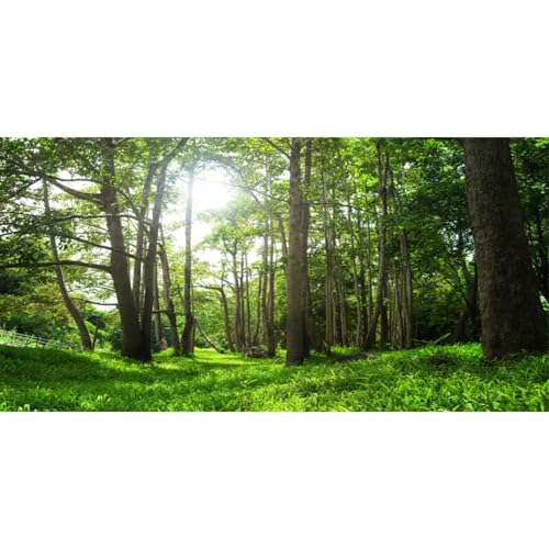 AWERT 36x18 inches Forest Terrarium Background Tropical Aquarium Background Green Tree Reptile Habitat Background Polyester Background - size: 36x18in/90x45cm