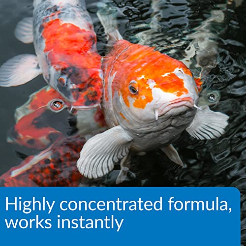 API Pond Aqua Essential Pond Water Conditioner 1-Gallon Bottle - size: 1 Gallon