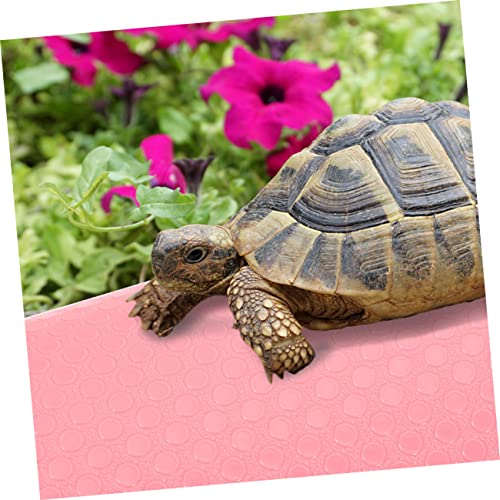Crawling Blanket Gecko Carpet Bearded Dragon Carpet Lizard Carpet Bearded Dragon Tank Accessories Reptile cage mat Reptile Substrate mat Terrarium Carpet Pink Rug eva Glass Iguana