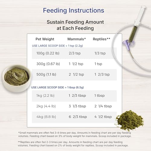 Sustain Herbivore Mint (100 g) | Nutritionally complete recovery food for herbivorous small pets and reptiles - size: 100 g
