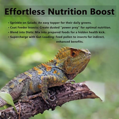Premium Bee Pollen for Bearded Dragons, Reptiles, Chameleons, Geckos, Amphibians, Natural Appetite and Immune Support, 8 oz Resealable Bag