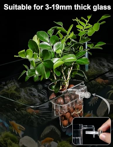 2 Pack Clear Aquarium Plant Holder Top Hanging Fish Tank Plant Holders Fits up to 0.8in Tank Edges, Aquarium Décor - color: Semicircle-White