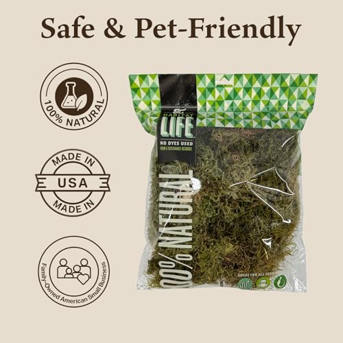 Deco Moss for Terrarium Habitats, Medium 1-Pack | Preserved Moss for Reptiles, Amphibians & Invertebrates Terrariums, Humidity Control, Soft, Dye-Free, Family Owned, USA Made - size: Medium 1-pack, style: Deco Moss