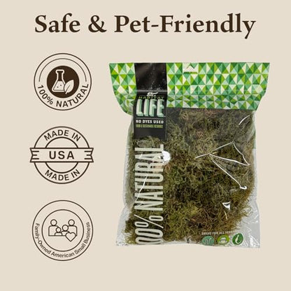 Deco Moss for Terrarium Habitats, Medium 1-Pack | Preserved Moss for Reptiles, Amphibians & Invertebrates Terrariums, Humidity Control, Soft, Dye-Free, Family Owned, USA Made - size: Medium 1-pack, style: Deco Moss