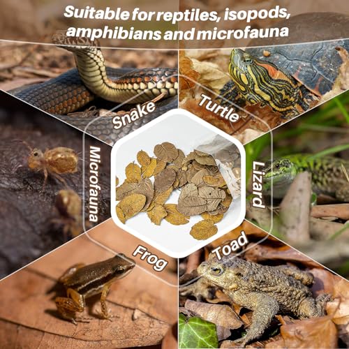 MAQIHAN 11oz Oak Leaf Litter - Dry Substrate for Reptile Isopod & Bioactive | Whole Natural Oak Leaves for Terrarium, Forest Floor Habitat, Premium Enclosure Bedding for Snake, Frog, Gecko, Lizard - size: 11.3 OZ