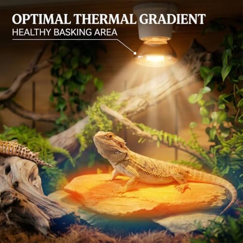 Reptile Terrarium Tanks Enclosure for Ball Python Snake Gecko Bearded Dragon, PVC Reptile Lounge Habitat with Leg Stand,Front Opening Bearded Dragon Tank