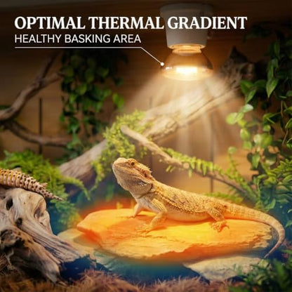 Reptile Terrarium Tanks Enclosure for Ball Python Snake Gecko Bearded Dragon, PVC Reptile Lounge Habitat with Leg Stand,Front Opening Bearded Dragon Tank