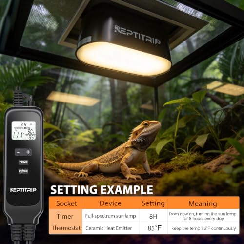 Dual Reptile Light Fixture with Timer & PID Dimming Thermostat, Day-Night Heat & Light Cycle, Heat Lamp for Bearded Dragons Terrariums, Max 160W Per Socket (No Bulbs) - size: Heat Lamp+Thermostat