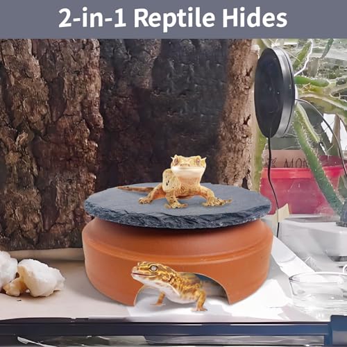 Hamiledyi Small Reptile Hideout Cave Box Diameter 3.7 in Ceramic Humid Shelter and Basking Platform Leopard Gecko Humid Hide for Smaller Lizards Snakes