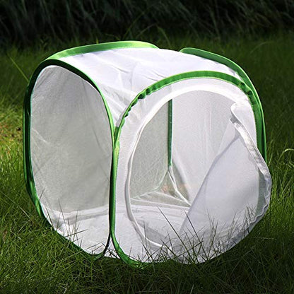 RESTCLOUD Insect and Butterfly Habitat Cage Terrarium Pop-up 12 X 12 X 12 Inches - color: White With Green, size: 12 x 12 x 12 inches