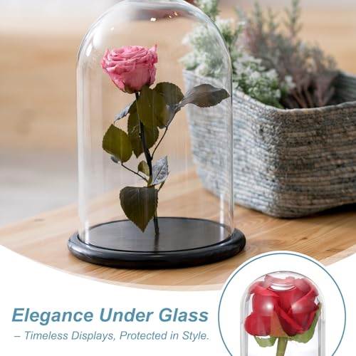 uxcell Glass Cloche Display Dome, 5.9" x 3.5" Glass Dome Display Case, Wood - size: 5.9" x 3.5"