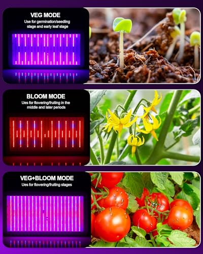 KOSCHEAL KS2000 230W LED Grow Light, 2.8 µmol/J Full Spectrum | Veg & Bloom Switches with 395nm/730nm. Daisy Chain up to 3 Units. Quiet Cooling. Ideal for 4x4/3x4 ft Grow Tents. - color: Creamy White