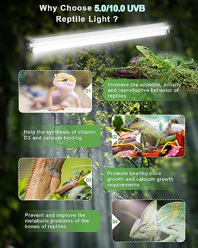 T5 UVB Reptile Light Kit, 39W T5 Reptile Light Fixture with UVB 10.0 Fluorescent Bulb, 35 in Terrarium Hood Light Fixture, Ideal for Tropical and Desert Habitats Reptile - size: 34 In