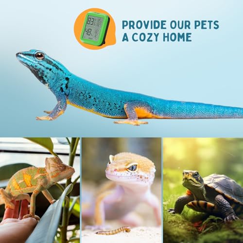 INKPET Reptile Thermometer Hygrometer Thermostat, with Max/min Record High-Accuracy Digial Display Ideal for Reptile Terrarium, Tank, Pet Rearing Box, Bearded Dragon, Leopard Gecko