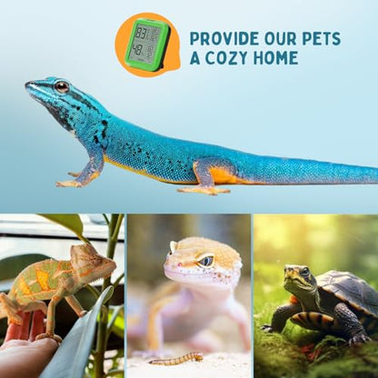 INKPET Reptile Thermometer Hygrometer Thermostat, with Max/min Record High-Accuracy Digial Display Ideal for Reptile Terrarium, Tank, Pet Rearing Box, Bearded Dragon, Leopard Gecko