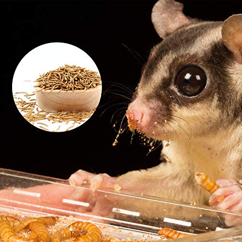 5lbs Dried Mealworms for Chickens Duck High Protein Birds Treat | Hand Inspected Poultry Feed, Wild Birds and Chicken Treats, Laying Hens & Bluebirds Food, Worms Fed a Clean Natural Diet - size: 80 Fl Oz (Pack of 1), style: Mealworms