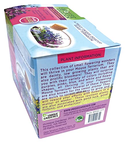 Mini Office Flower Glass Terrarium Starter Kit with Complete Supplies - The Flowering Mouse Tiny Garden - Easy to Maintain IndoorPlants - Perfect for The Office Or Home Tabletop