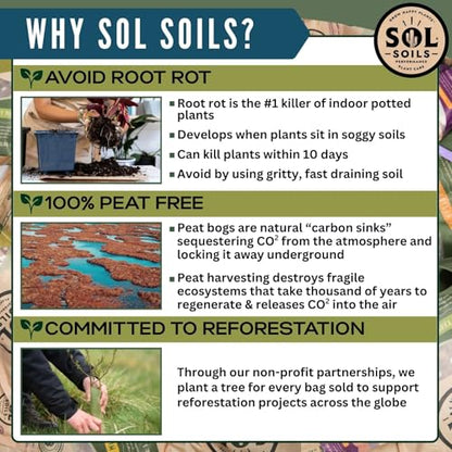 LECA Balls - Lightweight & 100% Natural Hydroponic Clay Pebbles for Plants - Soil Amendments to Improve Drainage, Aeration, and Support Healthy Root Growth - 1 Quart