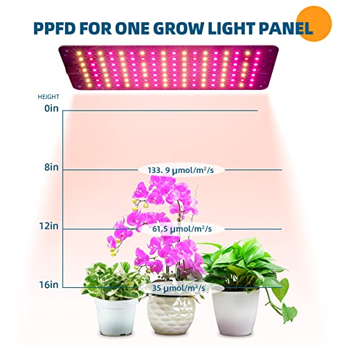 Barrina Grow Lights for Indoor Plants, 2 x 10W Ultra-Thin Grow Light Panel | Full Spectrum, with 3/6/12H Auto On/Off Timer for Hydroponics, Seedlings, Succulents, Vegetable, Flowers & More, 2 Packs - size: 2 Pack