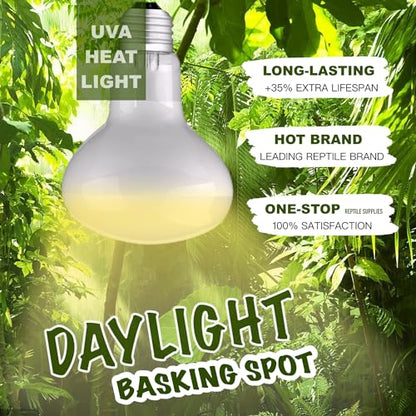 Reptile Heat Bulb Lamp, 2-Pack 75W Daylight Basking Spot, Bearded Dragon/Turtle/Lzard/Gecko Light Bulb, UVA Heat Lamp, Basking Light for Reptiles - size: 75W
